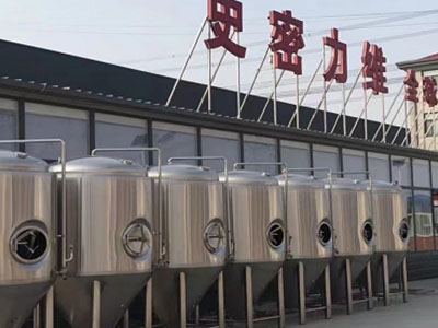 崖州精酿啤酒设备厂—市场规模与跨界新需求